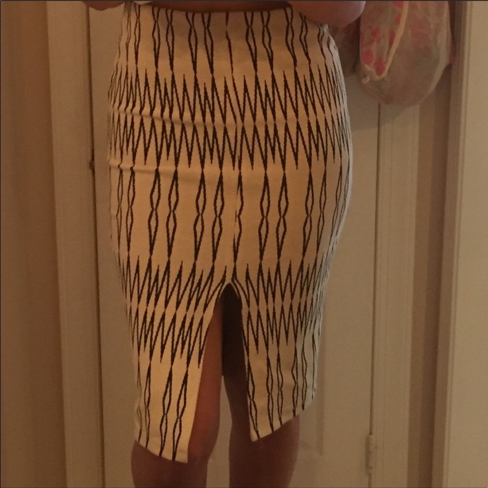 Zara Bodycon Midi Skirt